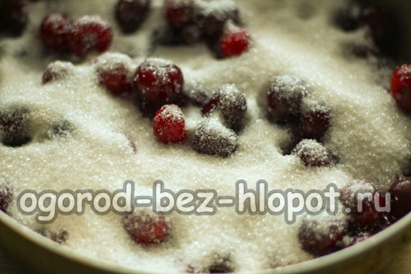 체리에 설탕을 뿌린다