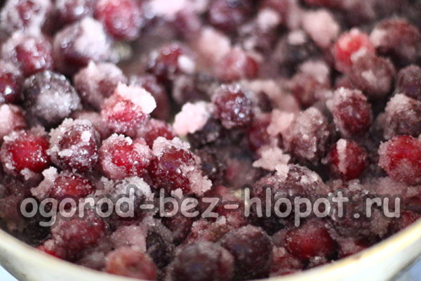 설탕을 곁들인 체리