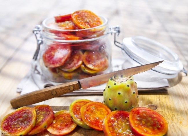 선인장으로 만든 요리