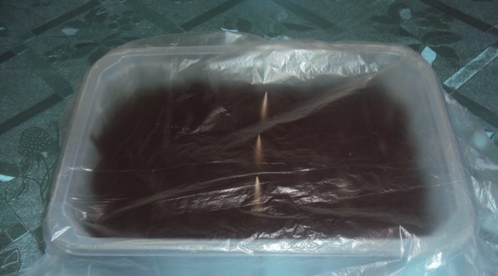 필름 아래에 씨앗을 뿌린 용기