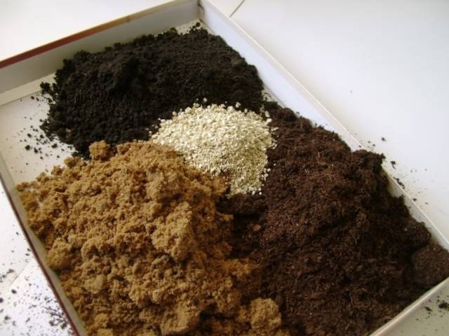 고추 모종을 위한 토양