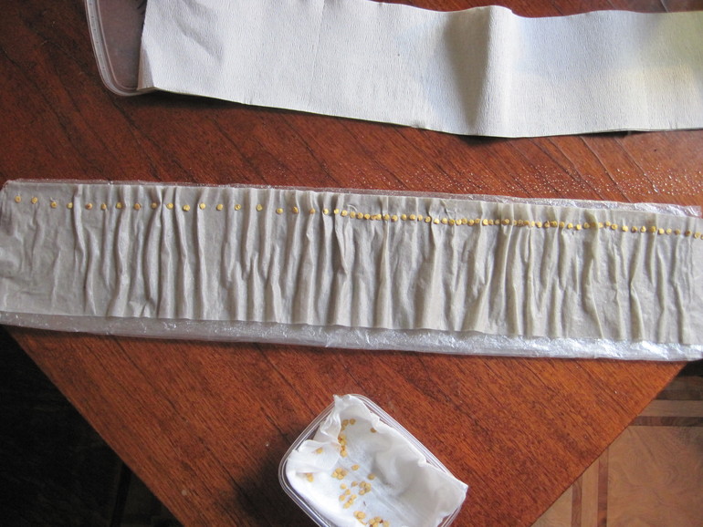 달팽이 속의 씨앗