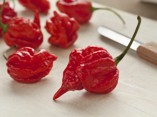 트리니다드 전갈