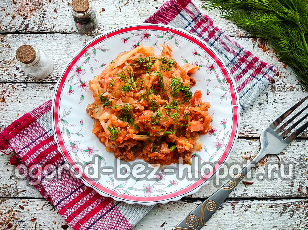 다진 고기로 끓인 양배추