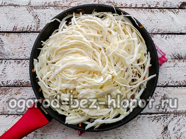 양배추를 꺼내다