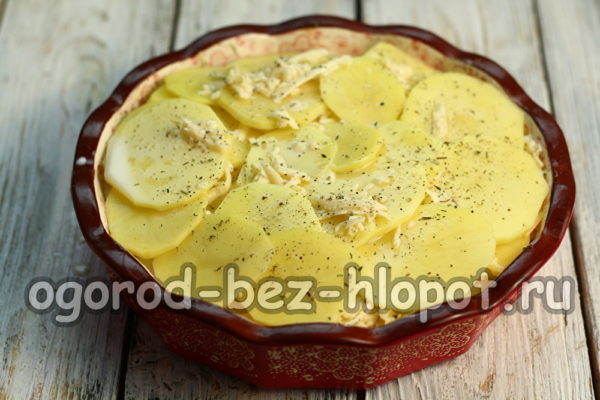 양식을 작성하세요