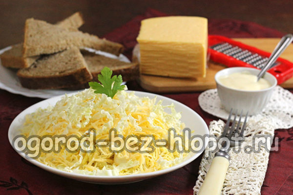 라이트 스완 다운 샐러드가 준비되었습니다