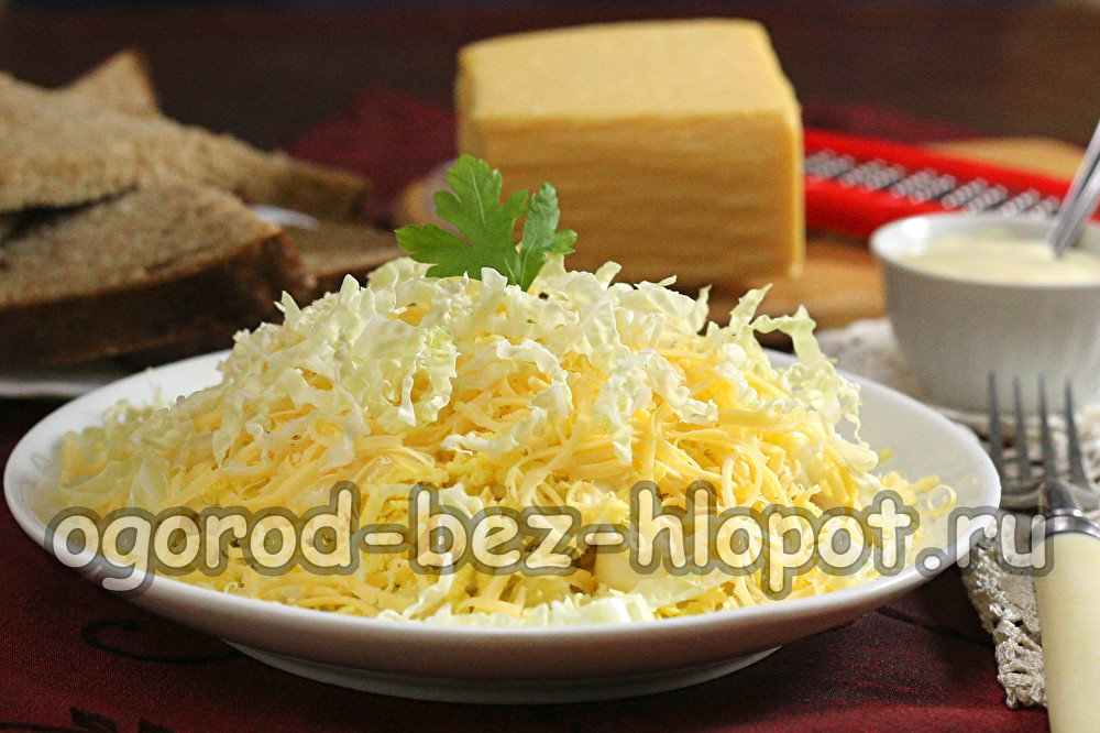 스완 다운 샐러드