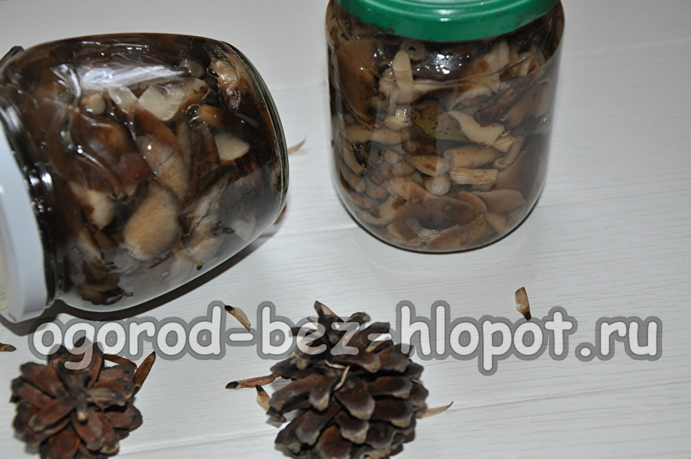 겨울철 꿀버섯 절임 방법