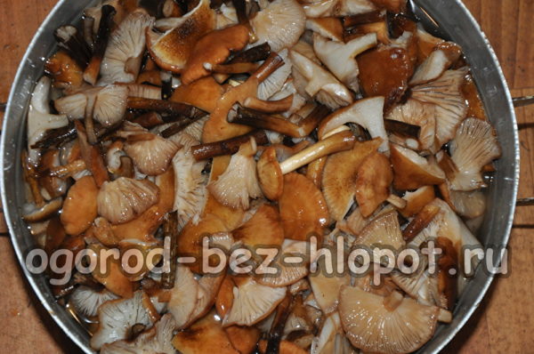 물을 붓고 끓이다