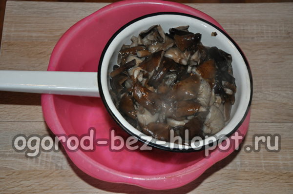 버섯을 체에 버리다