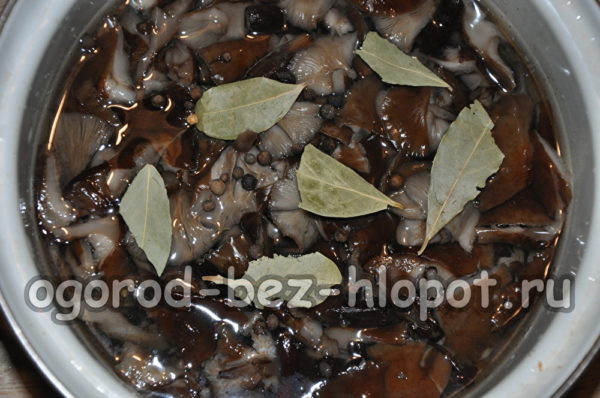 버섯 위에 매리네이드를 붓는다