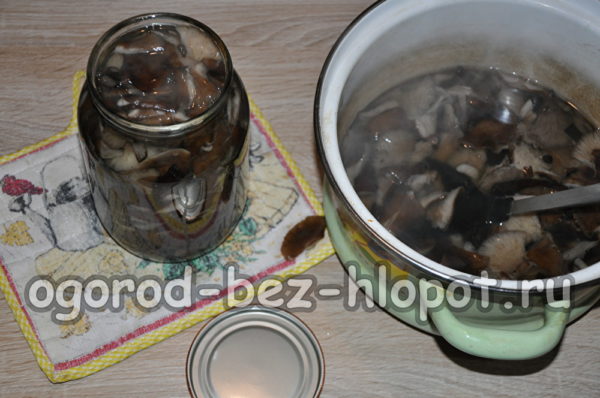 버섯을 병에 담다