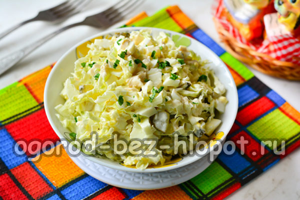 모니카의 샐러드가 준비되었습니다