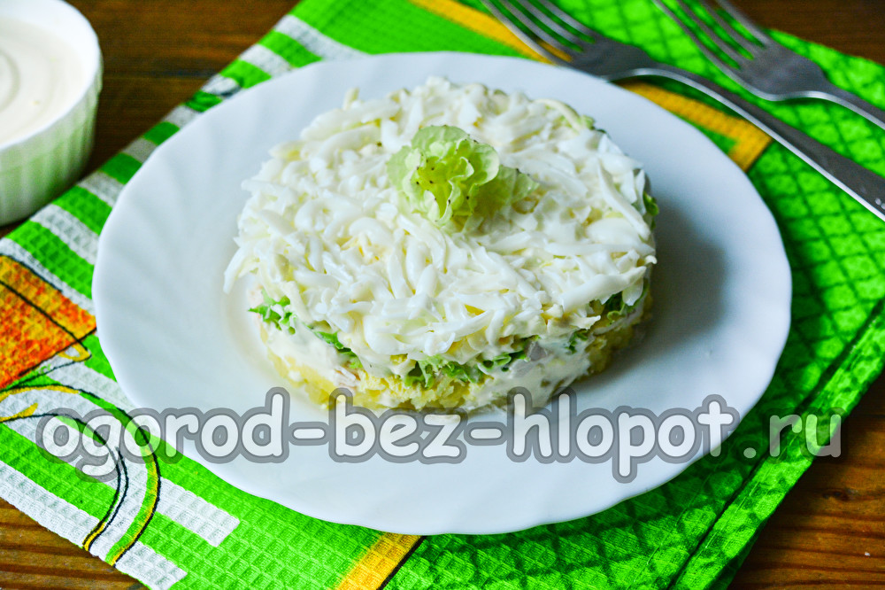 배추와 튀긴 닭고기를 곁들인 브라이드 샐러드