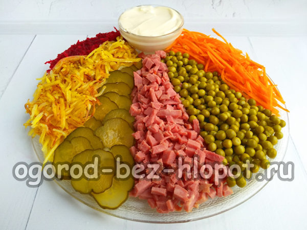 샐러드가 준비되었습니다