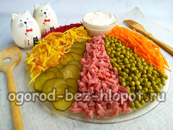 레인보우 샐러드가 준비되었습니다