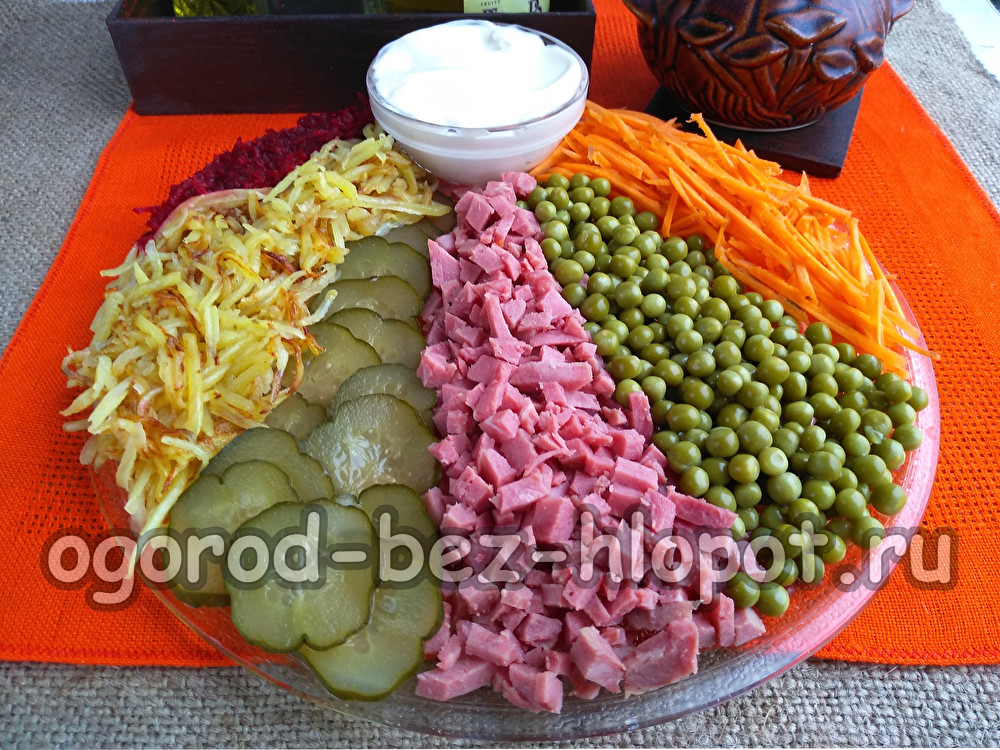 감자튀김을 곁들인 레인보우 샐러드