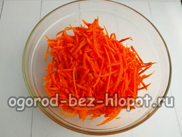 당근을 갈아주세요