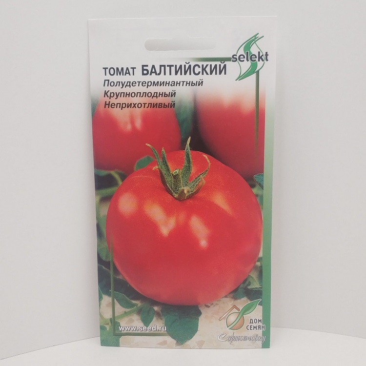 발트해 토마토 품종