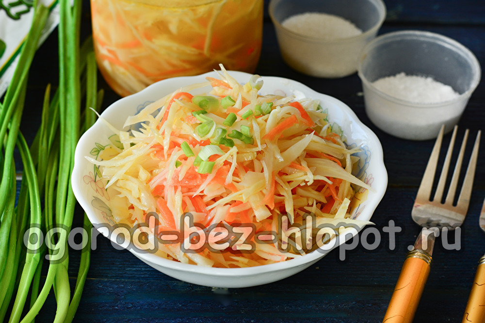 당근과 마늘을 곁들인 매일의 양배추