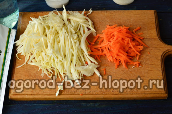 양배추와 당근을 다진다