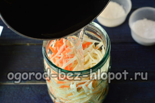 양배추에 소금물을 붓다