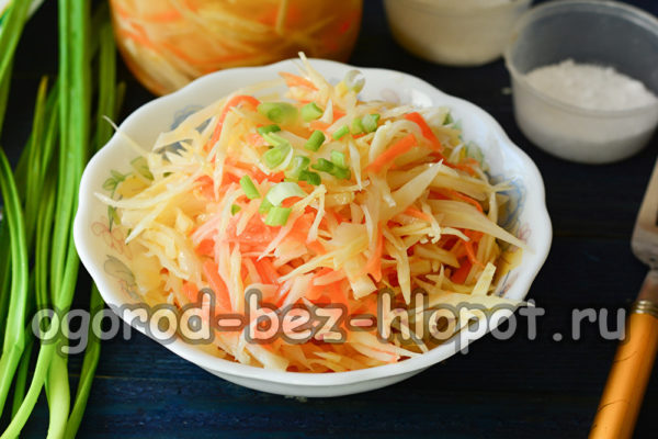 매일 양배추가 준비되었습니다