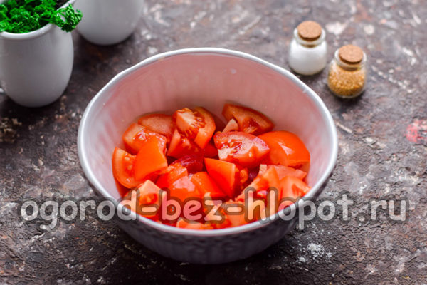 토마토를 다지다