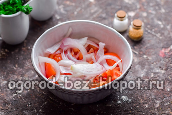 토마토에 양파를 더하다