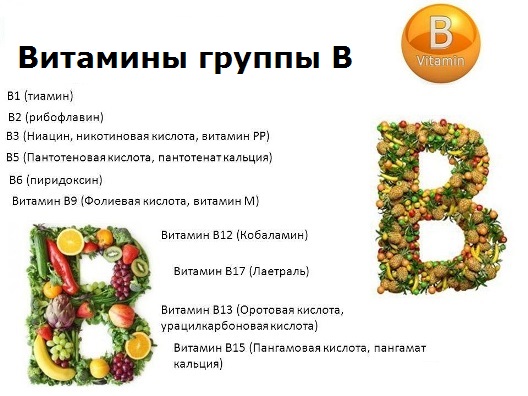 비타민 B