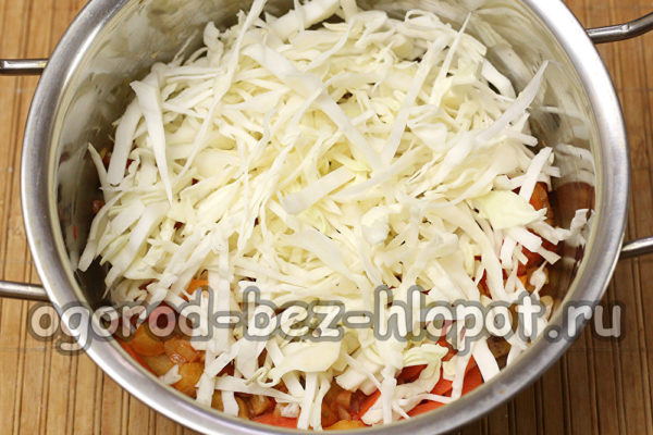 양배추를 넣으세요