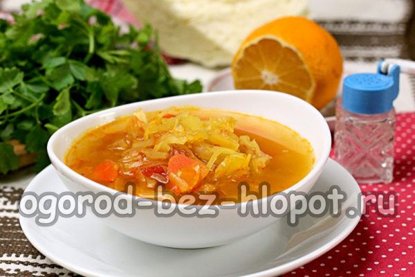 지방 연소 수프가 준비되었습니다