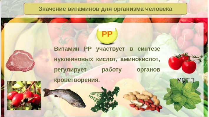 비타민 PP의 특성