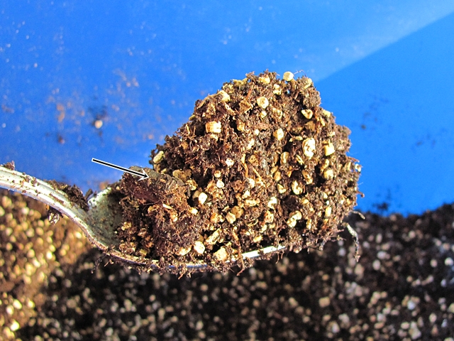 제비꽃을 위한 토양