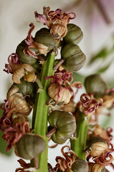 3개의 중첩 상자