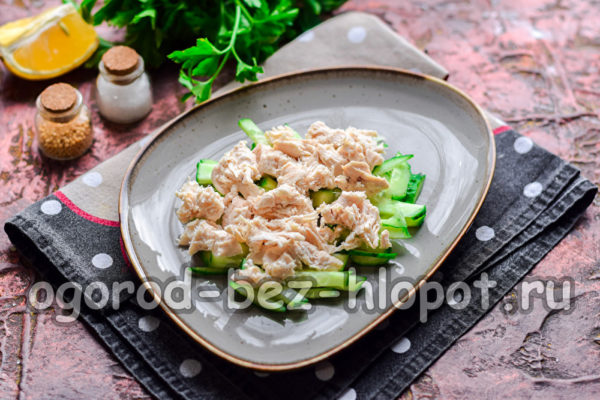 닭고기 필레 한 층