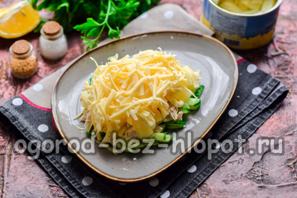 강판 치즈 한 층