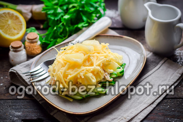 레이디스 카프리스 샐러드