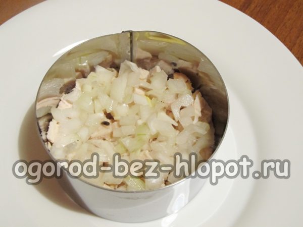 절인 양파 한 층