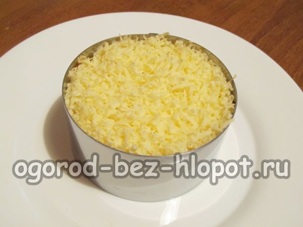 단단한 치즈 한 층