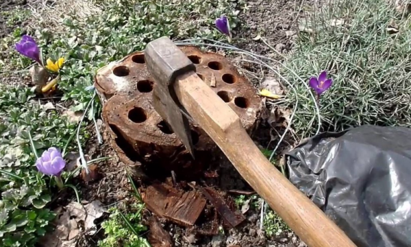 현장의 그루터기