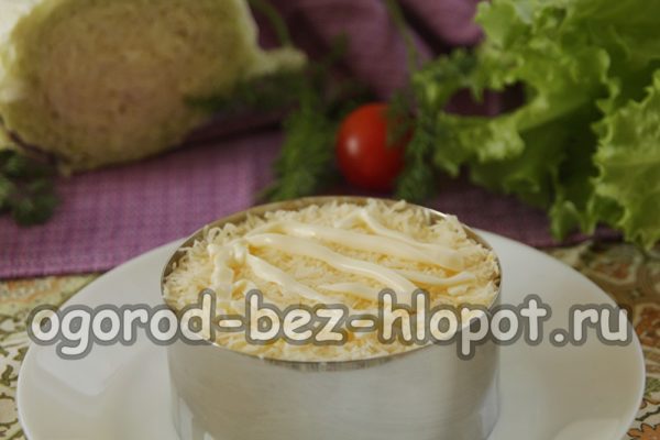 단단한 치즈 한 층