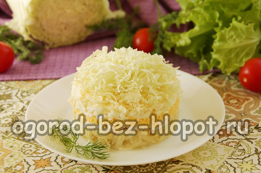 스완 다운 샐러드