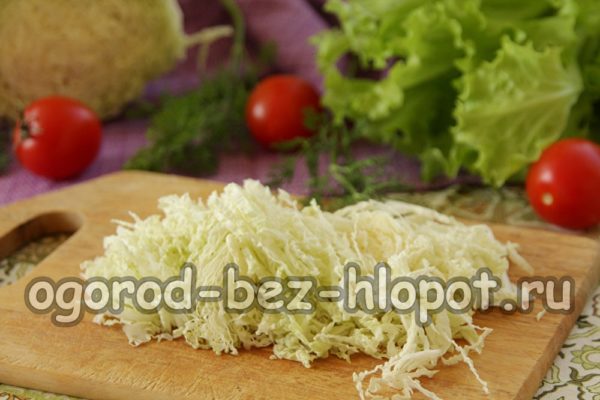 배추를 잘게 썬다