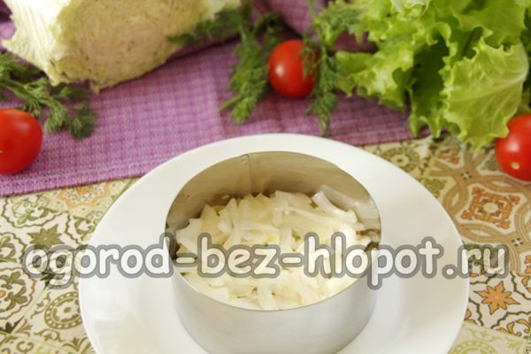 절인 양파 한 층