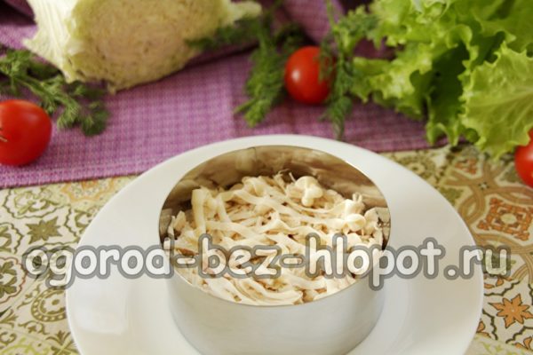 닭고기 필레 한 층