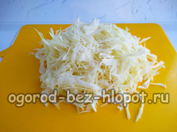 양배추를 잘게 썬다