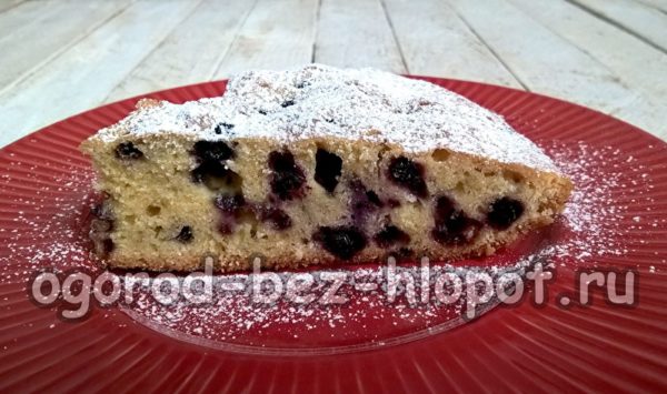 파이가 준비됐어