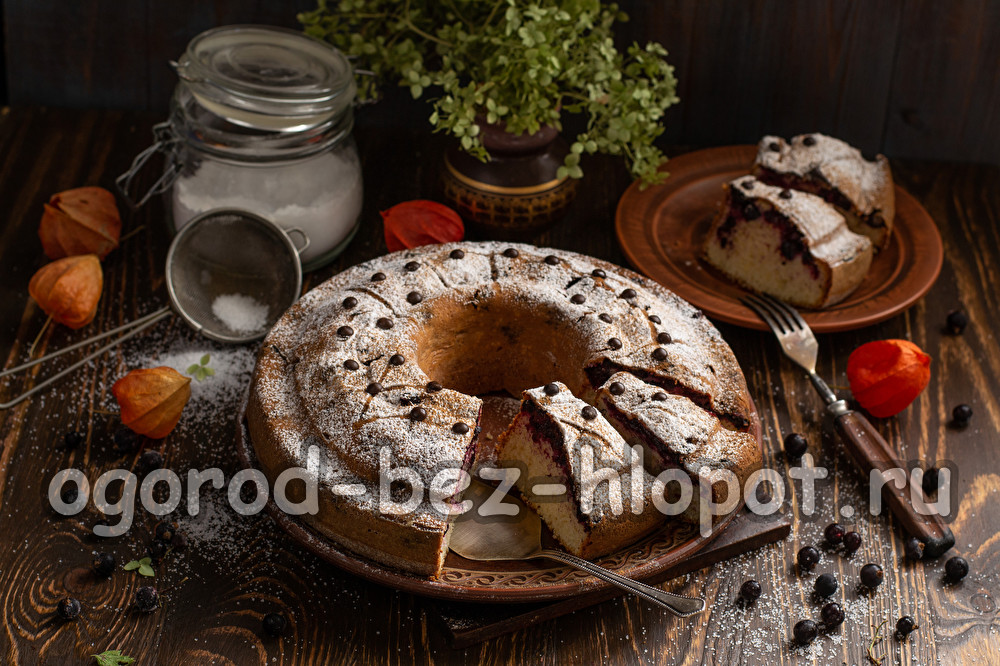 냉동 블랙커런트 파이